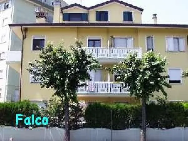 Falco * Caorle